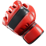 Sports Exchange icon